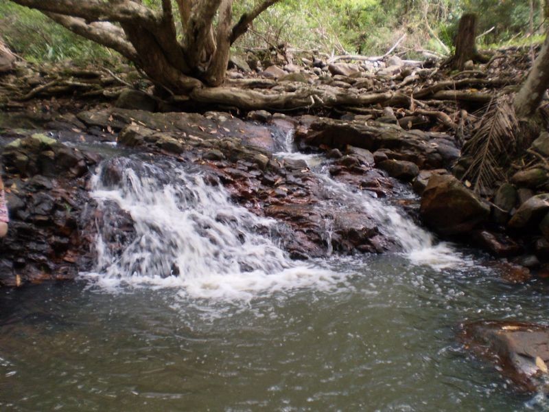 Chillingham NSW 2484