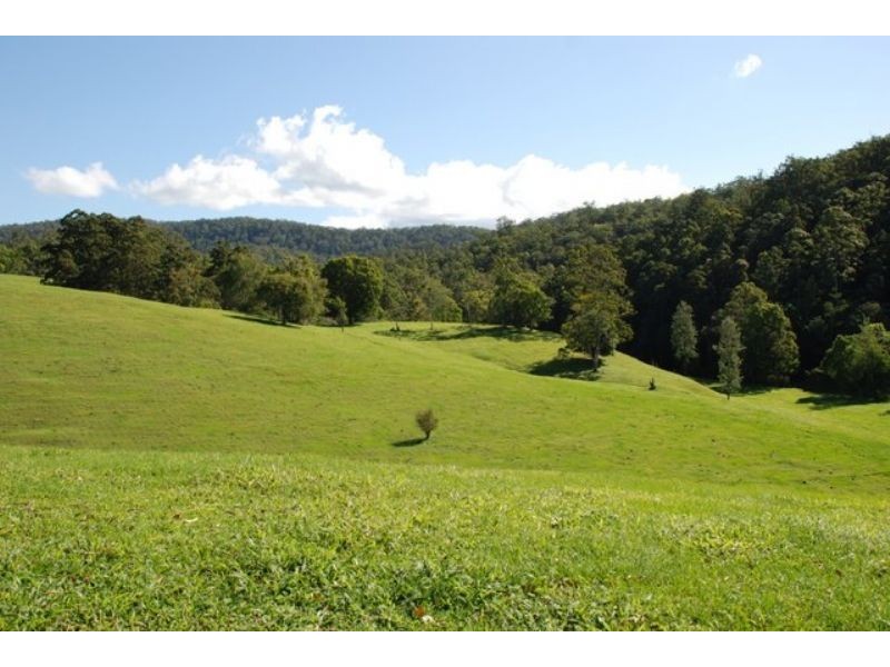 Chillingham NSW 2484