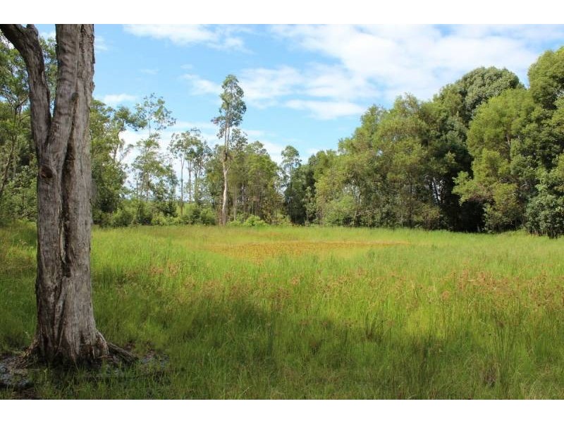 Lot 4 Numinbah Road, Kynnumboon NSW 2484