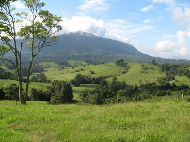 Mount Burrell NSW 2484