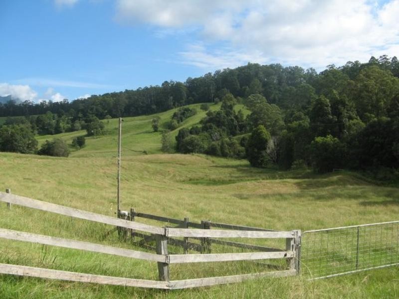 Mount Burrell NSW 2484