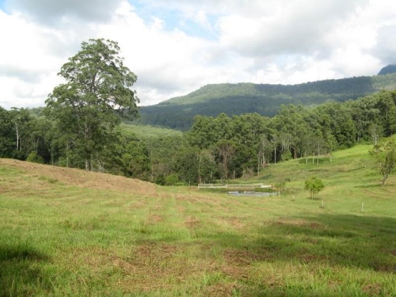 Mount Burrell NSW 2484