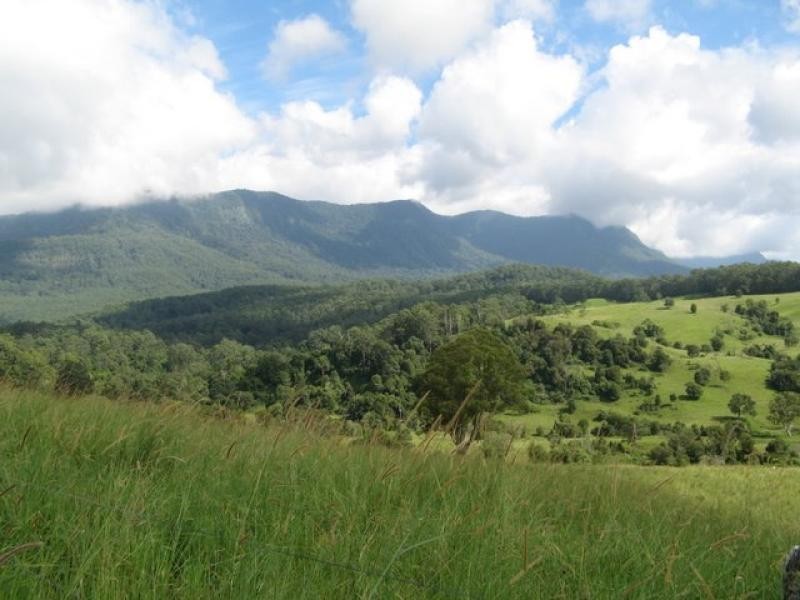 Mount Burrell NSW 2484