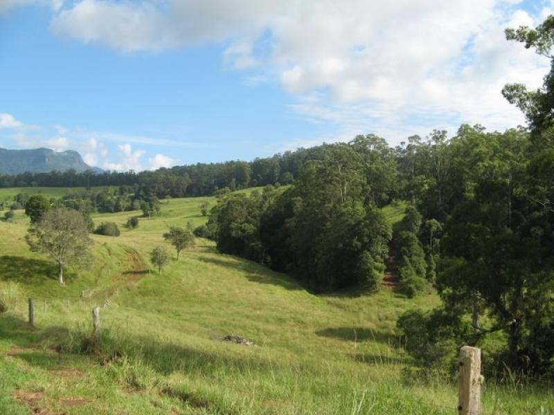 Mount Burrell NSW 2484