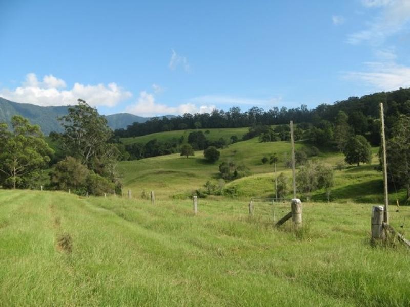 Mount Burrell NSW 2484