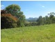 Nobbys Creek NSW 2484