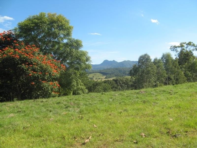 Nobbys Creek NSW 2484