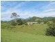 Nobbys Creek NSW 2484