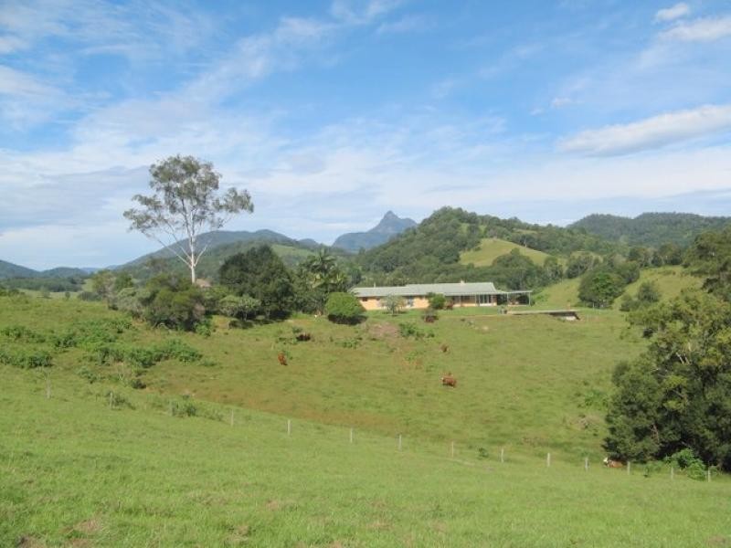 Nobbys Creek NSW 2484