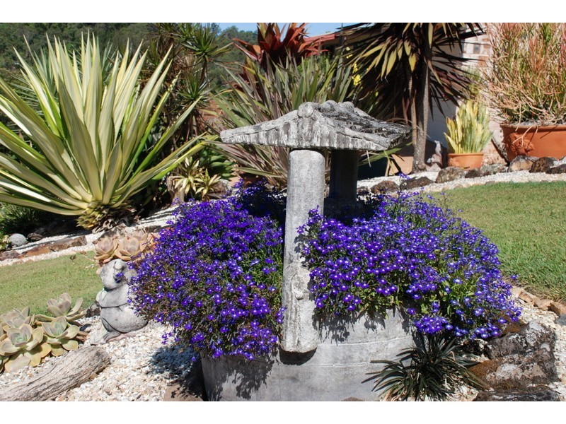 Murwillumbah NSW 2484