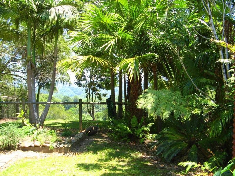 34 Birrigan Close, Nobbys Creek NSW 2484