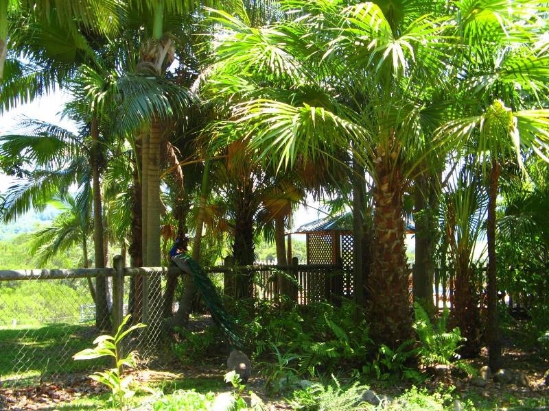 34 Birrigan Close, Nobbys Creek NSW 2484