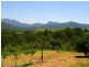 34 Birrigan Close, Nobbys Creek NSW 2484