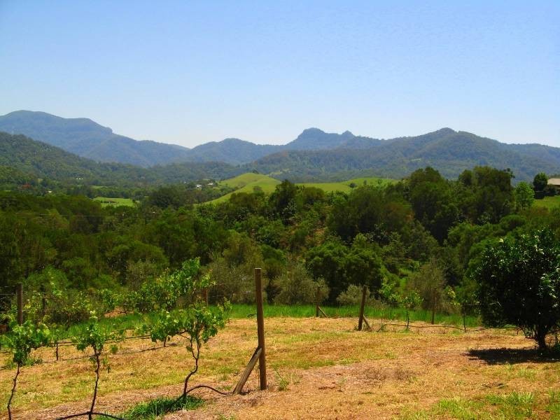 34 Birrigan Close, Nobbys Creek NSW 2484