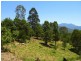 34 Birrigan Close, Nobbys Creek NSW 2484