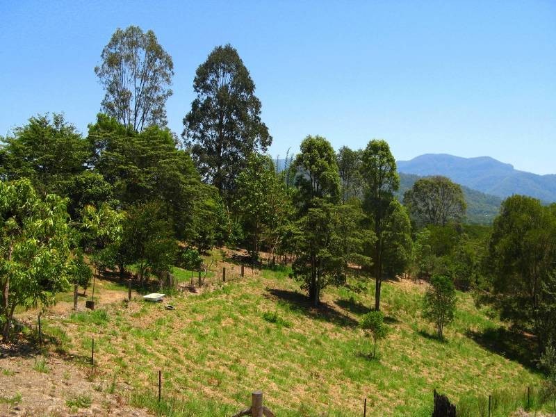 34 Birrigan Close, Nobbys Creek NSW 2484