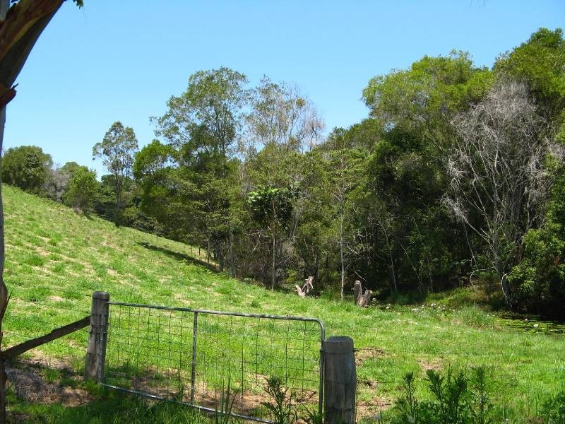 34 Birrigan Close, Nobbys Creek NSW 2484