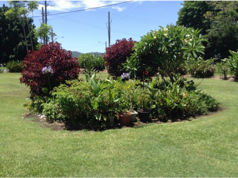 157 Mcleod Street, Condong NSW 2484