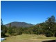 Eungella NSW 2484