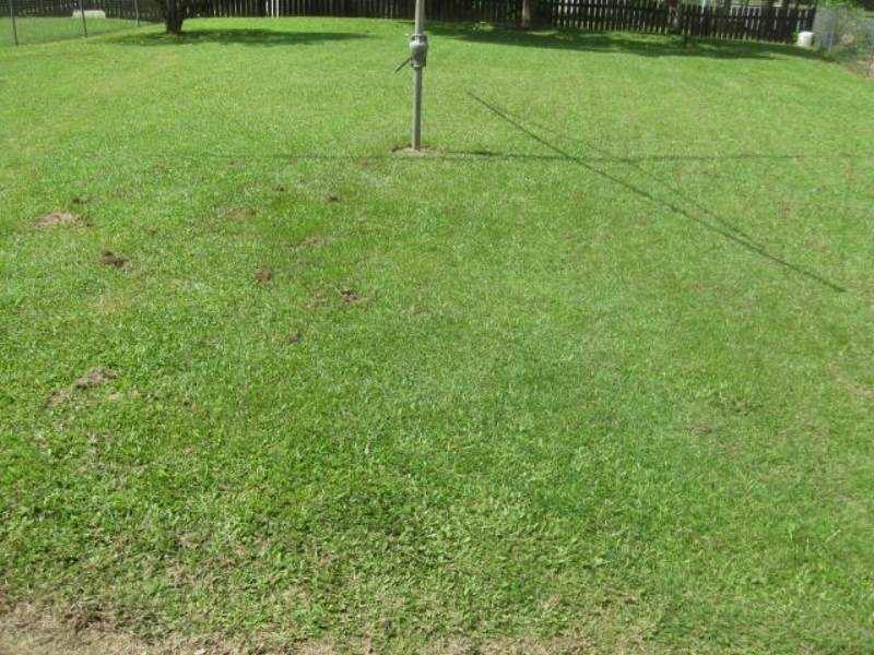 57 Byangum Road, Murwillumbah NSW 2484