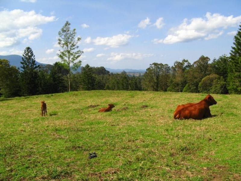 Pumpenbil NSW 2484