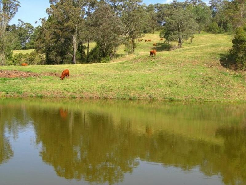 Pumpenbil NSW 2484