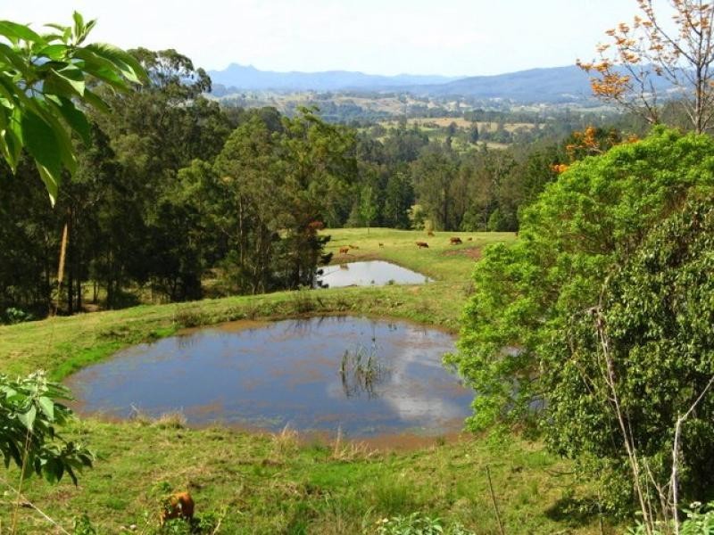 Pumpenbil NSW 2484