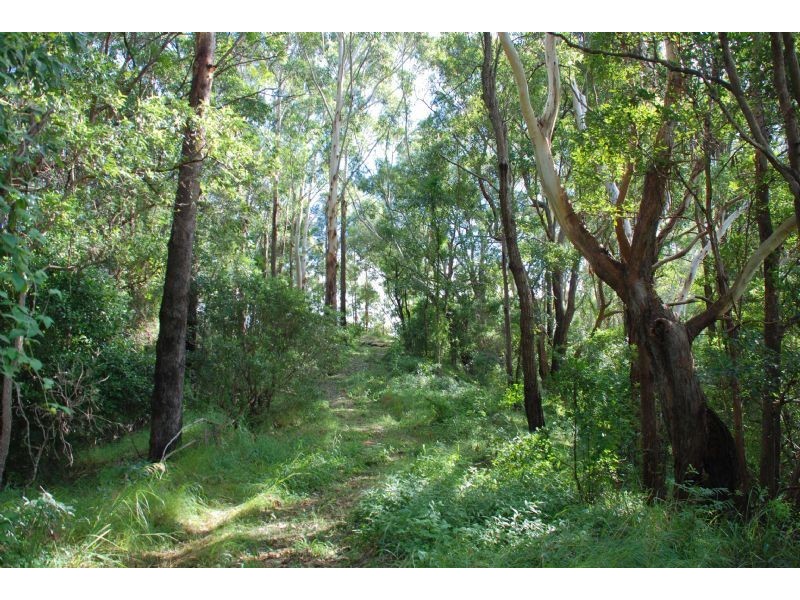 Crabbes Creek NSW 2483