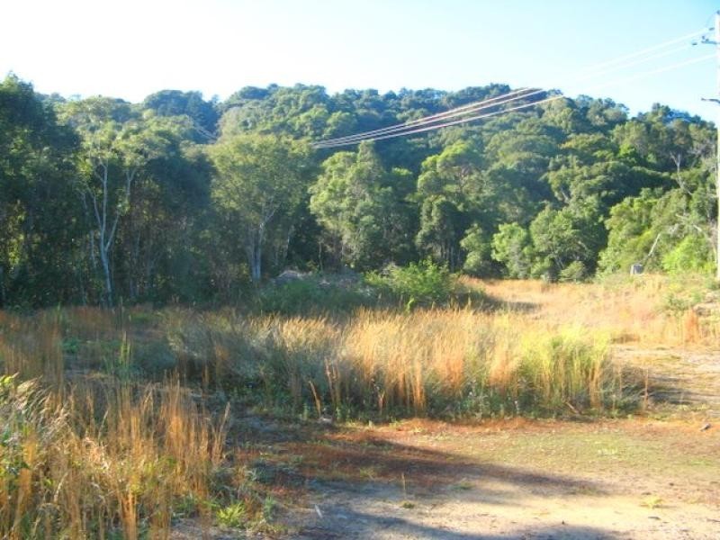 Nunderi NSW 2484