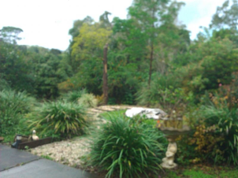 7 Amarillo Drive, Murwillumbah NSW 2484