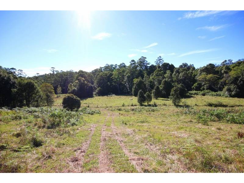 241 Mount Burrell Road, Mount Burrell NSW 2484