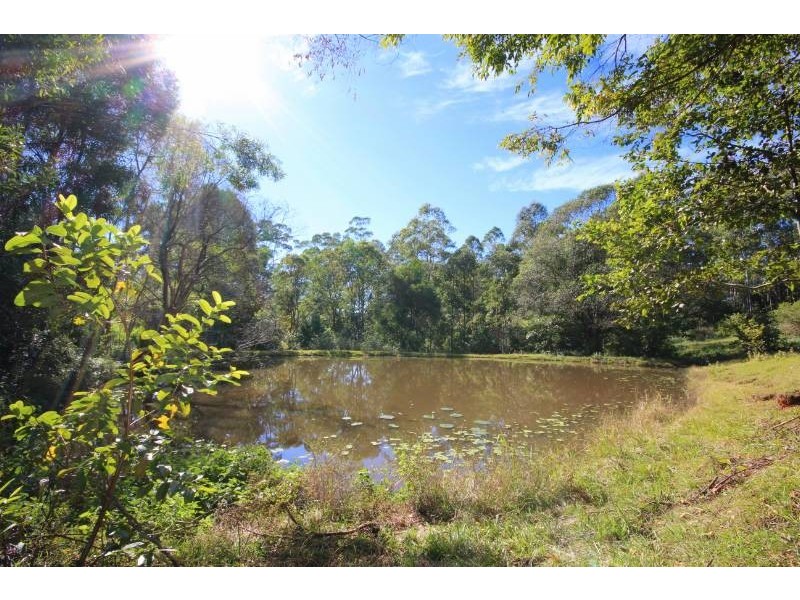 241 Mount Burrell Road, Mount Burrell NSW 2484