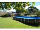 241 Mount Burrell Road, Mount Burrell NSW 2484