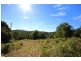 241 Mount Burrell Road, Mount Burrell NSW 2484