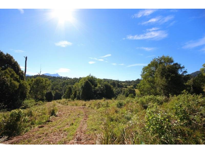 241 Mount Burrell Road, Mount Burrell NSW 2484