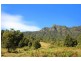 241 Mount Burrell Road, Mount Burrell NSW 2484