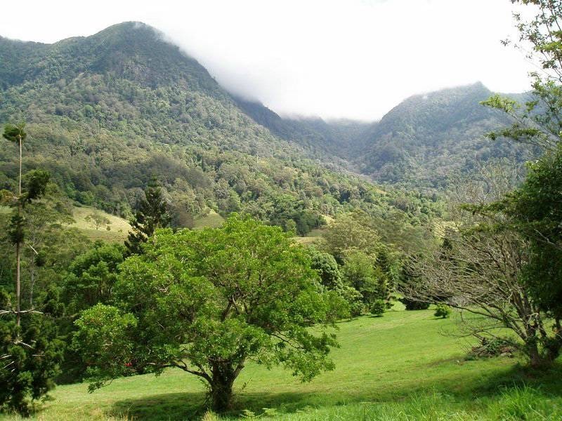 Tyalgum Creek NSW 2484