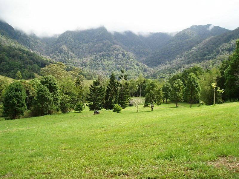 Tyalgum Creek NSW 2484