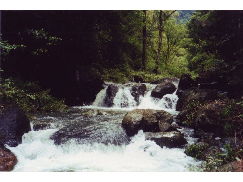 Tyalgum Creek NSW 2484