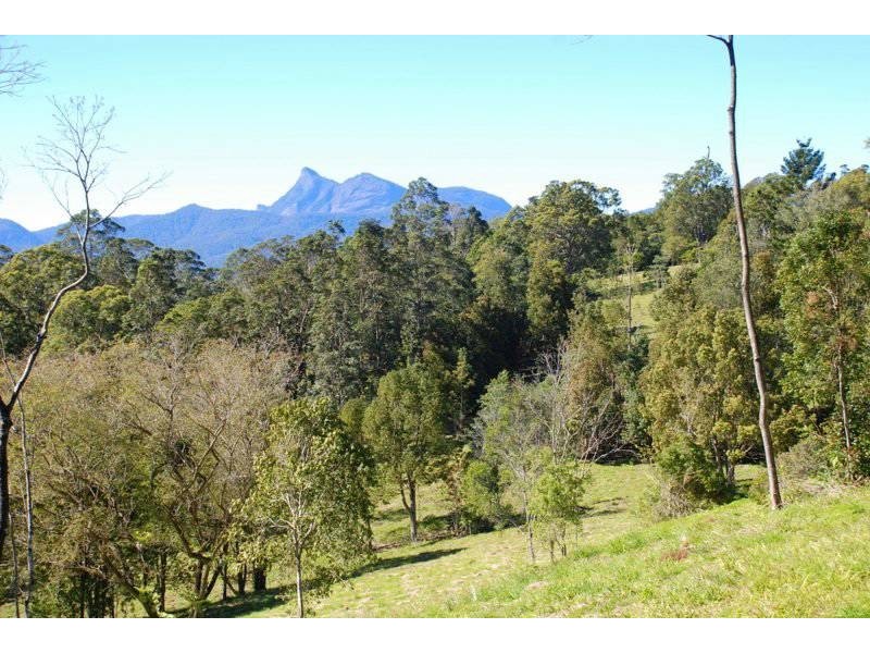 Tyalgum Creek NSW 2484