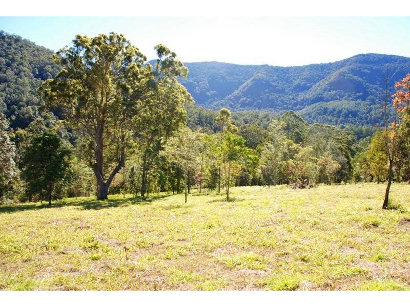 Tyalgum Creek NSW 2484