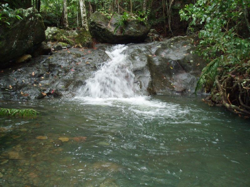 Mount Warning NSW 2484