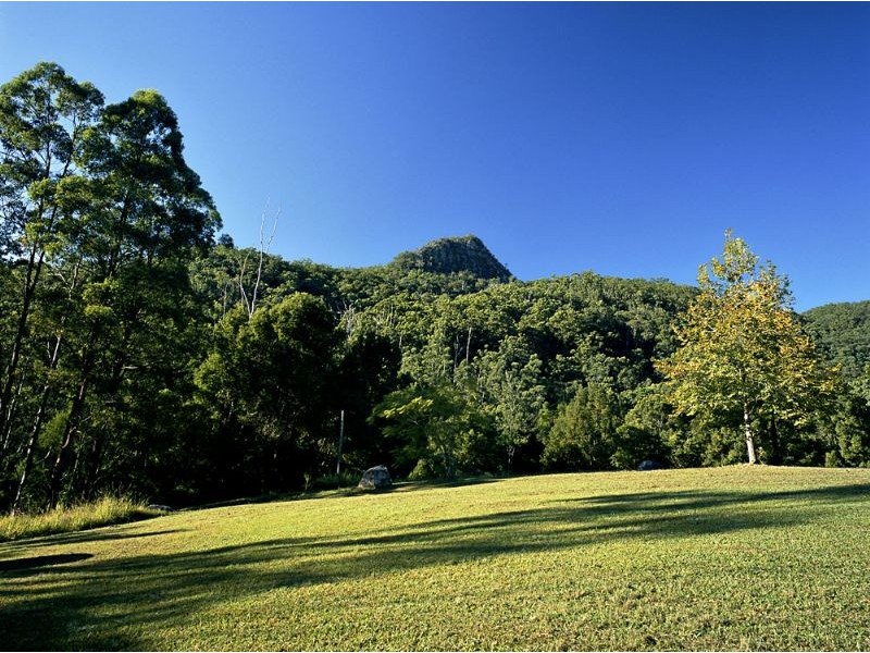 Mount Warning NSW 2484
