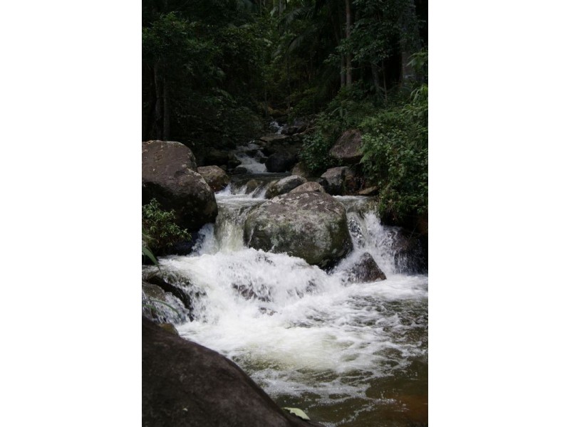 Mount Warning NSW 2484