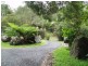 Mount Warning NSW 2484