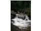 Mount Warning NSW 2484