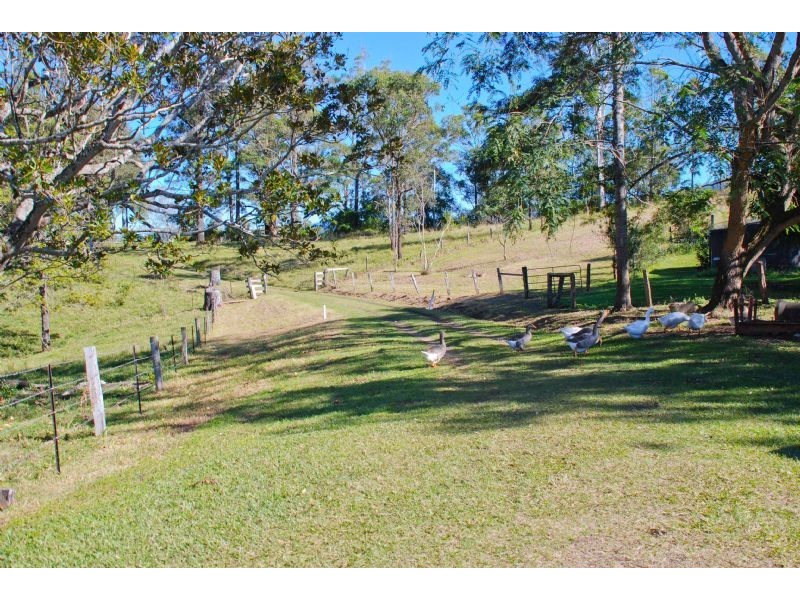 Limpinwood NSW 2484
