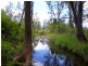 Tyalgum NSW 2484