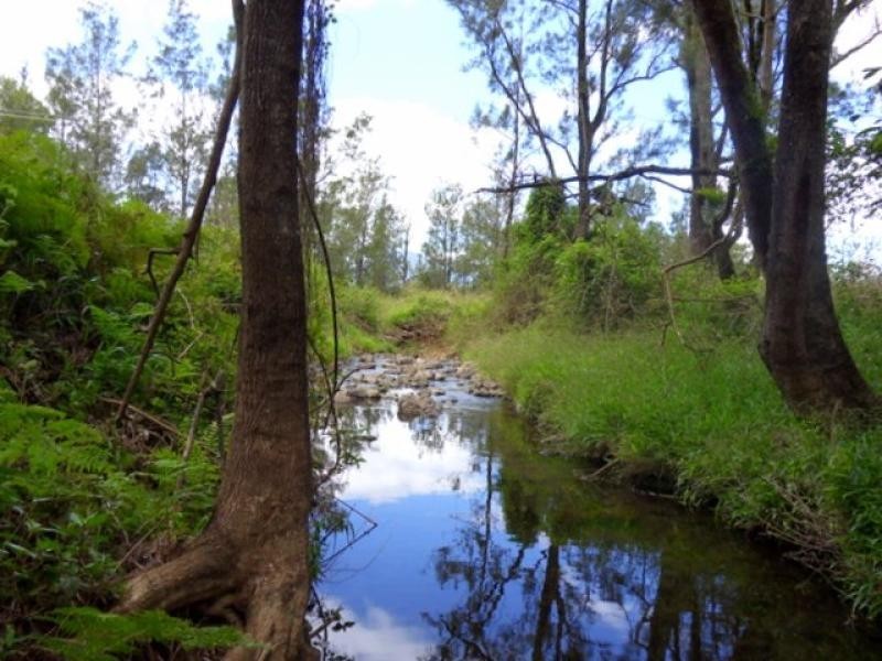 Tyalgum NSW 2484