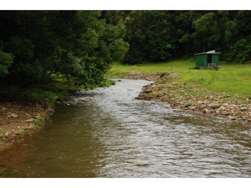 Crystal Creek NSW 2484